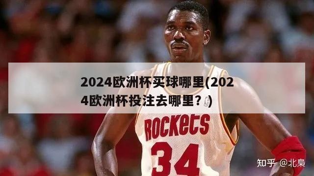 2024欧洲杯买球哪里(2024欧洲杯投注去哪里？)